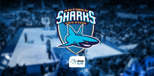 sharks-jeep-elite-637×314